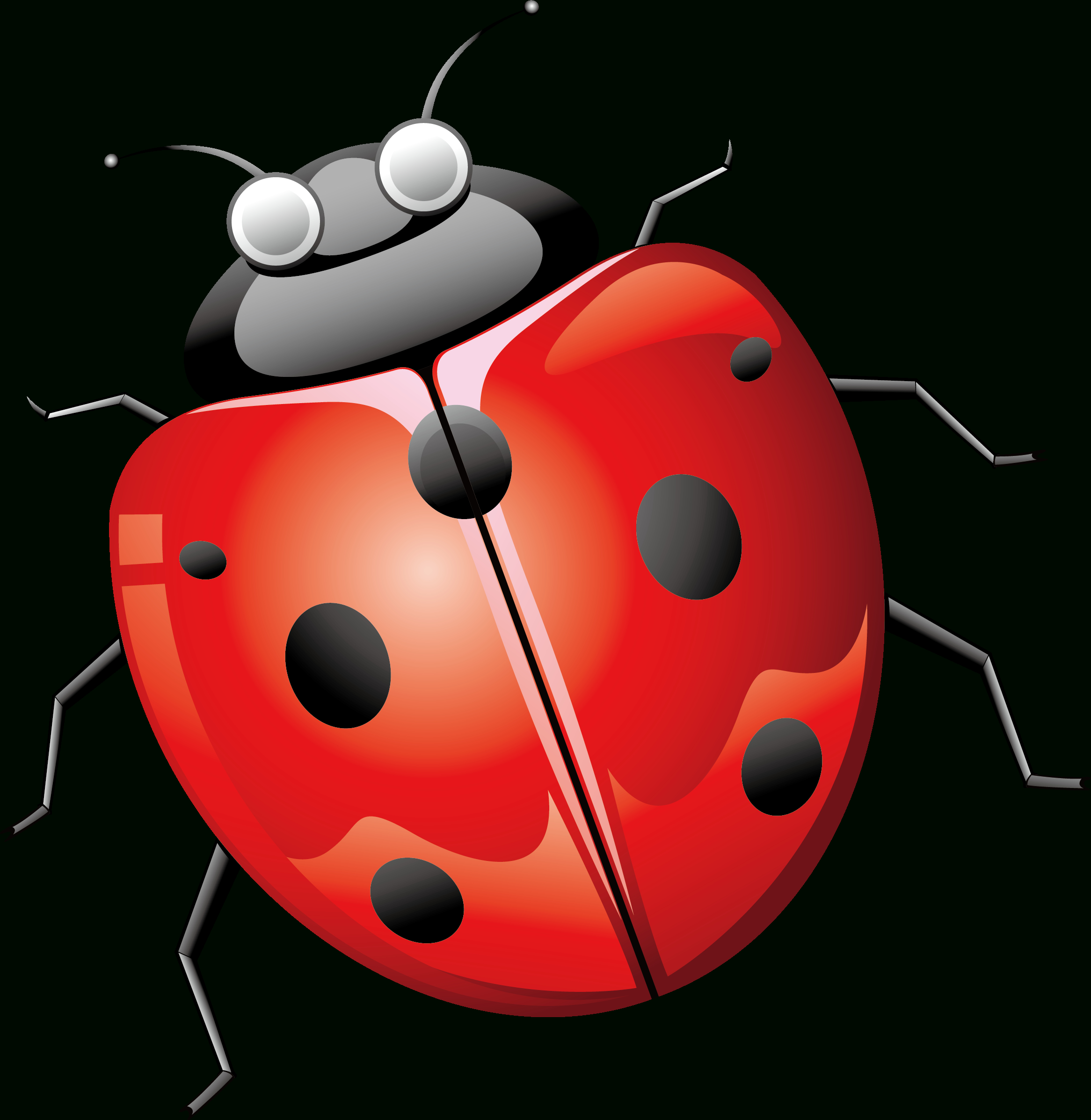 Ladybird Beetle Euclidean Vector - Seven Star Ladybug Png avec Ladybug Png