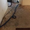 Magic Carpet Cleaning - 23 Photos - Carpet Cleaning concernant Carpet Cleaners Pitt County Nc