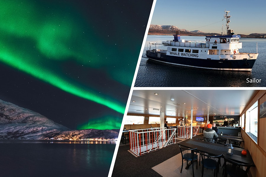 Northern Lights By Boat From Reykjavik - Sea Trips Reykjavík avec Reykjavik Excursions Northern Lights Tour
