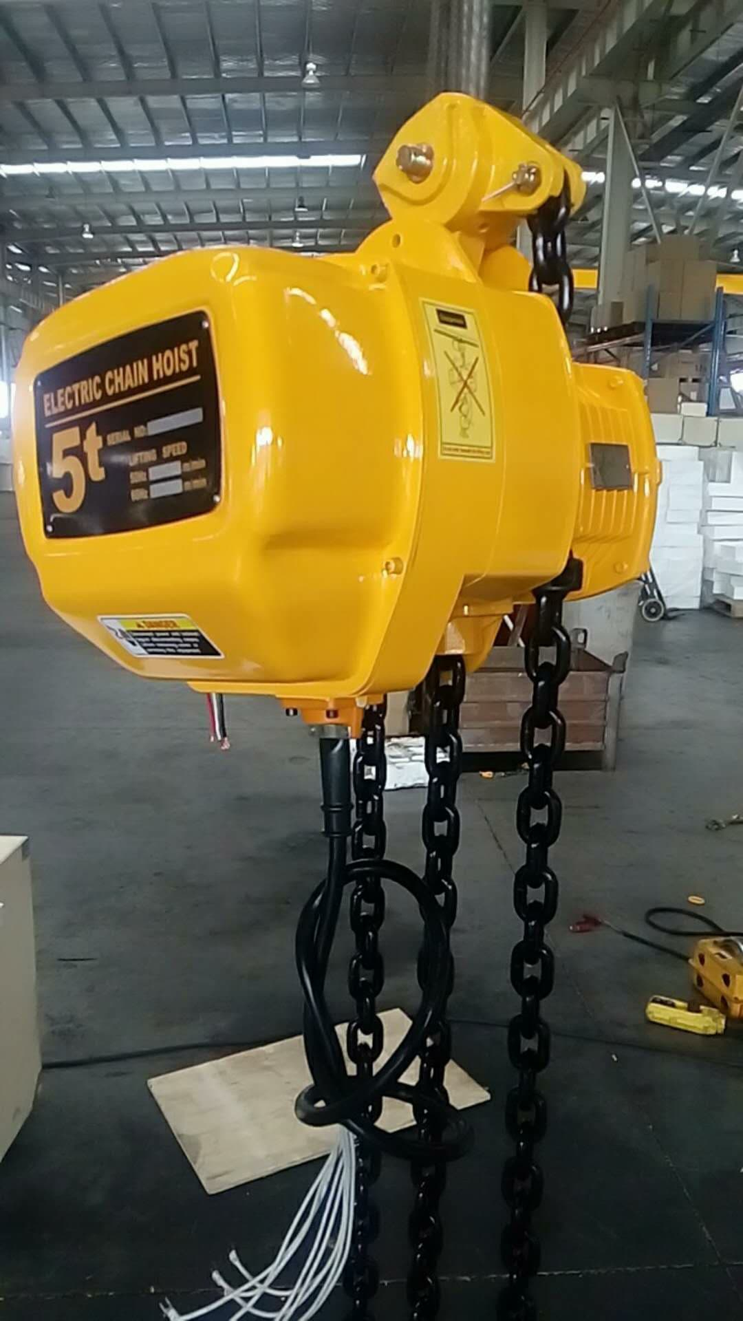 One Set 5T Electric Chain Hoist Exported To Srilanka | Dgcrane encequiconcerne Pacific Hoist Pull Lift Winch