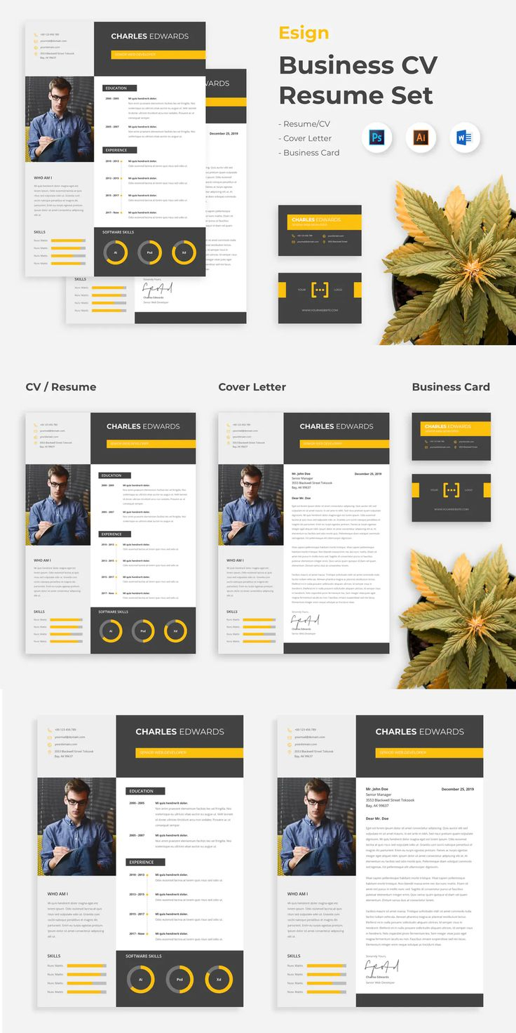 Resume Word By Spacestudios On Envato Elements | Resume à Envato Templates