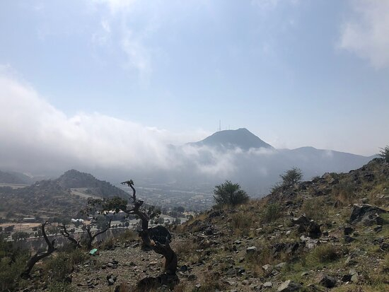 Shafa Mountains (Taif) - 2020 All You Need To Know Before intérieur Flights To Taif