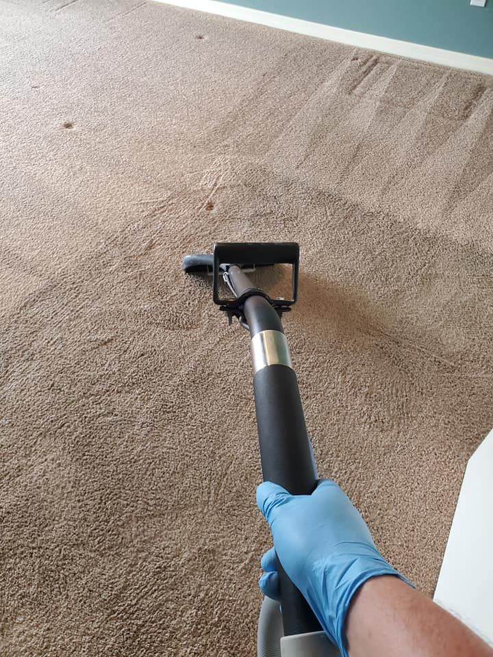 Tampa Steam Team - Carpet Cleaning In Brandon dedans Carpet Cleaning Riverview Fl