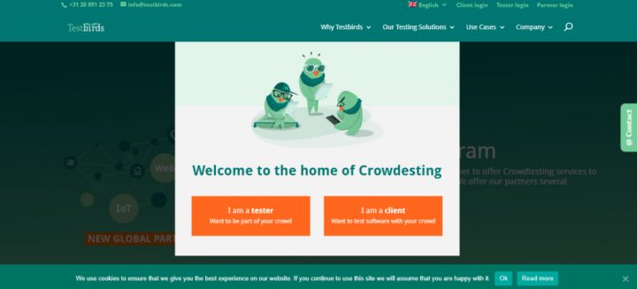 Testbirds: Another Functional Testing Website (With pour Testbirds