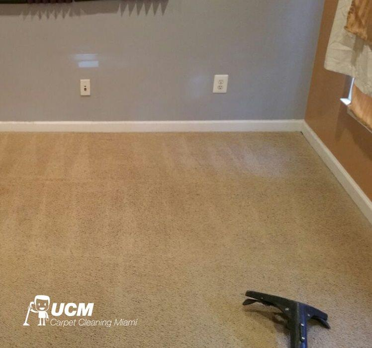 Ucm Carpet Cleaning Miami In Hollywood, Fl concernant Carpet Cleaning Service Miami