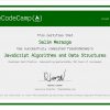 Wow I Got Javascript Algorithms And Data Structures encequiconcerne Freecodecamp Java