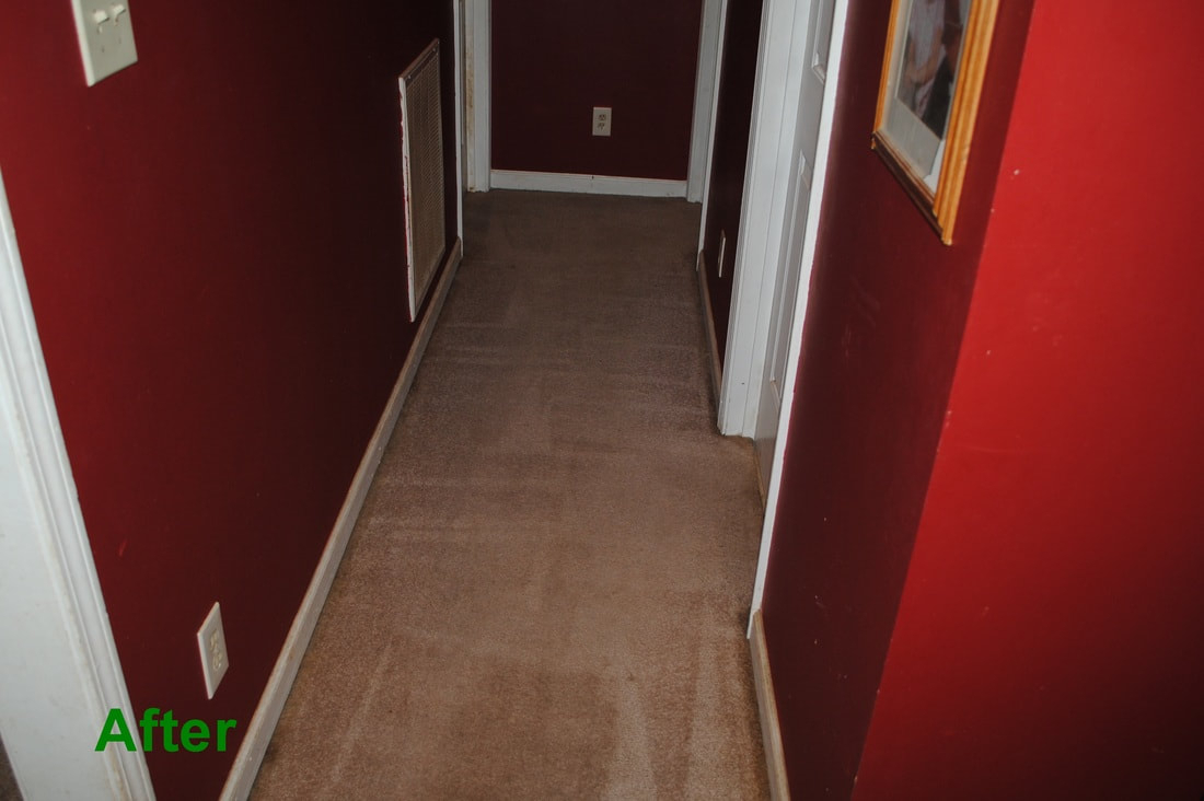 Before And After - Benchmark Carpet Cleaning - Benchmark concernant Carpet Cleaner Hendersonville