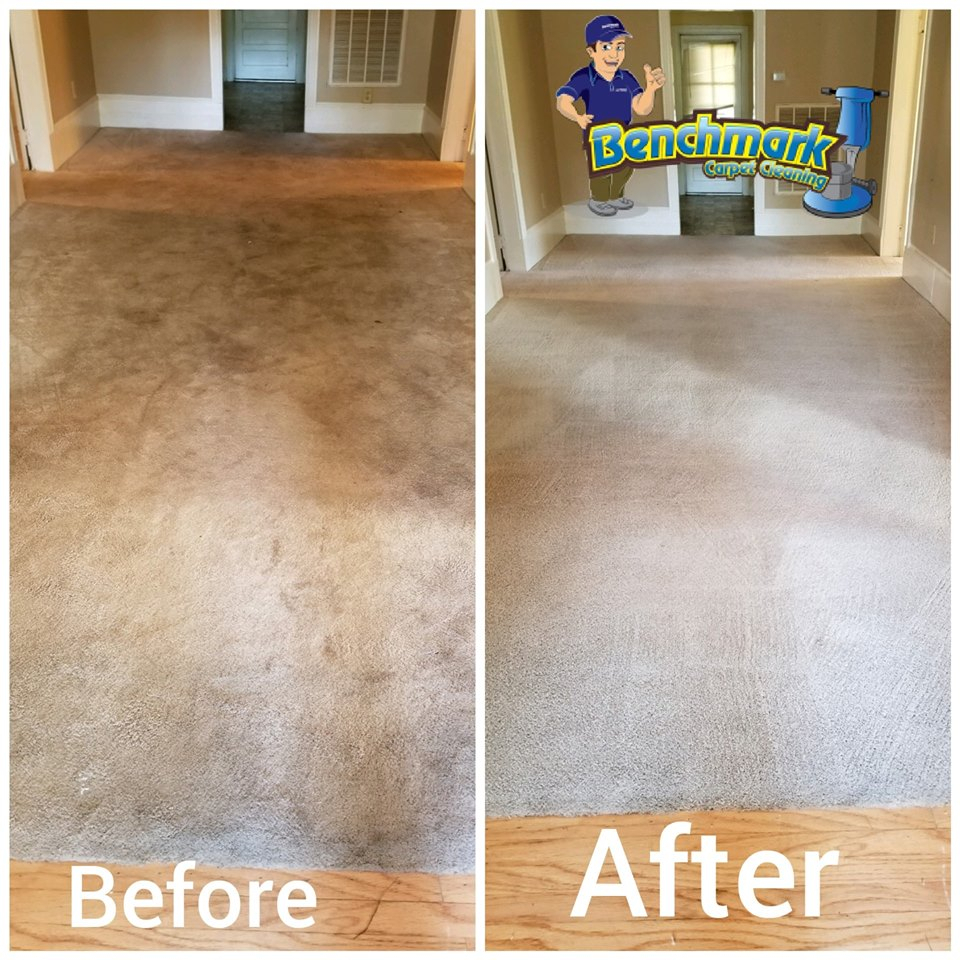 Before And After - Benchmark Carpet Cleaning - Benchmark serapportantà Carpet Cleaner Hendersonville