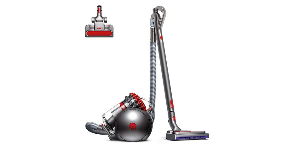Dyson Cy26 Ball Animalpro pour Dyson Big Ball Extra Review