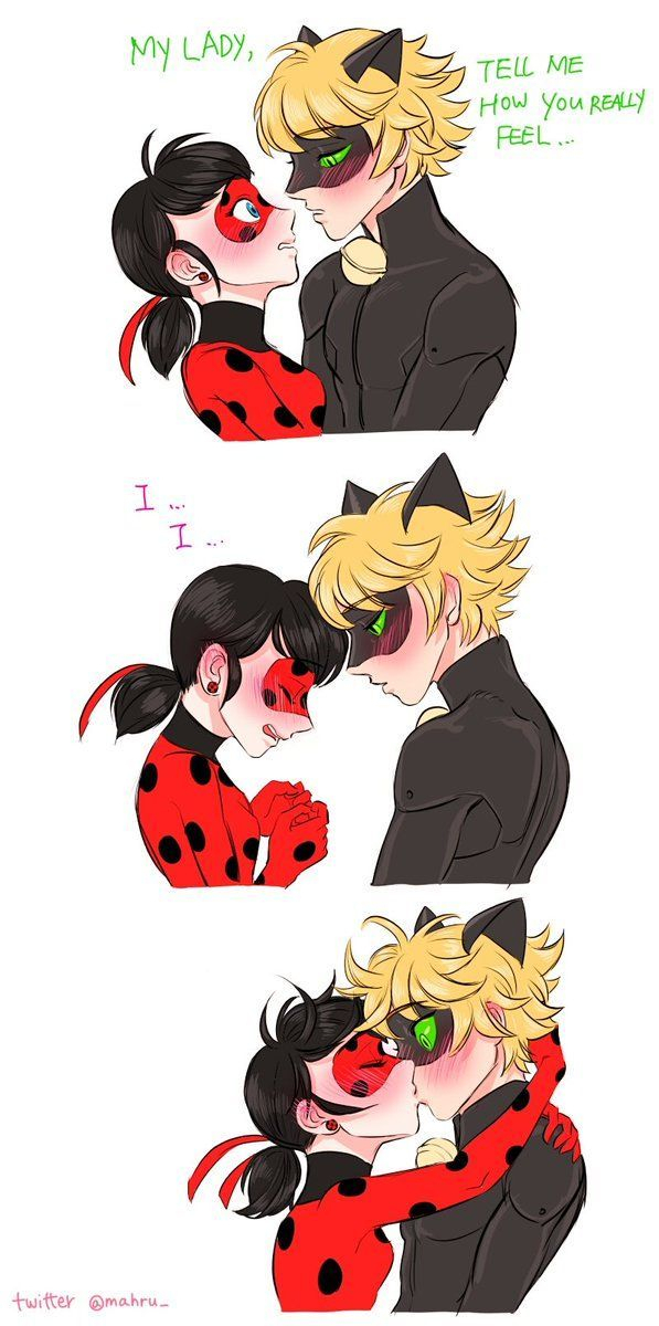 Image Result For Ladybug And Cat Noir Anime One Kissing avec Ladybug And Cat Noir Kiss