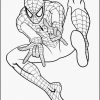 10 Modèles Coloriage Spiderman Gratuit Collection # destiné Coloriage Spider-Man,