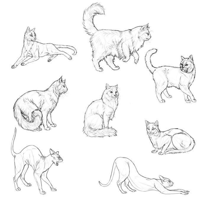 1001 + Exemples Et Tutoriels Comment Dessiner Un Chat à Dessin Un Chat Facile,