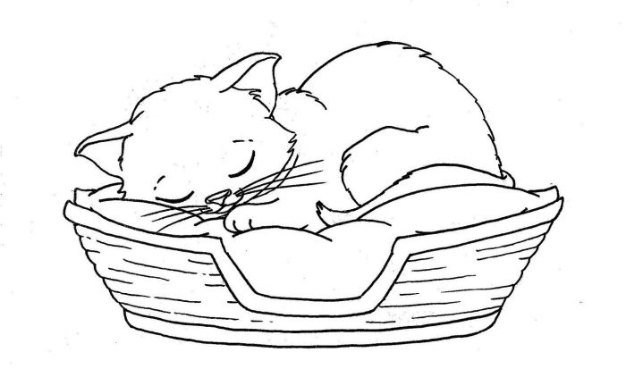 1001 + Exemples Et Tutoriels Comment Dessiner Un Chat serapportantà Dessin Un Chat,