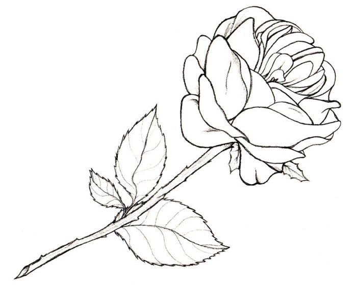 1001 + Modèles Et Conseils Pour Apprendre Comment Dessiner pour Dessin Rose Facile