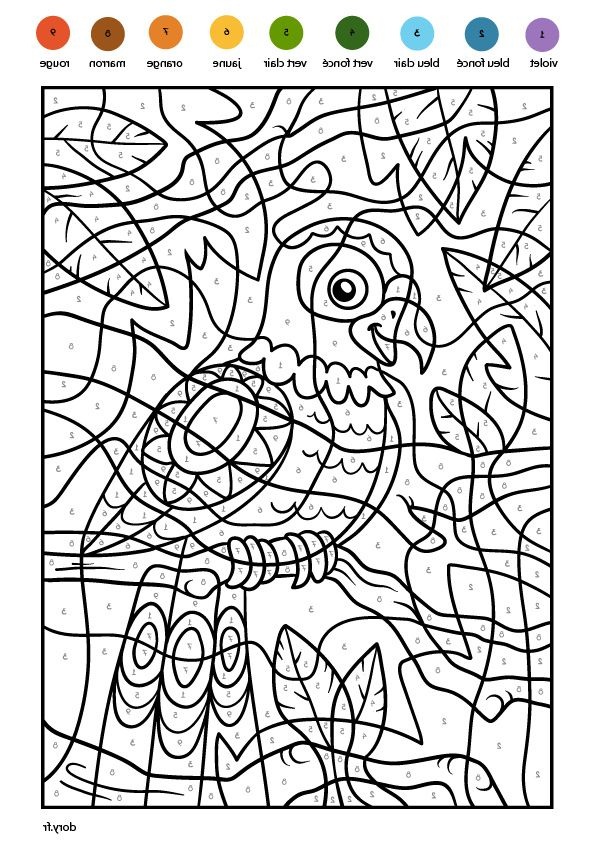 11 Exclusif Perroquet Coloriage Pics | Coloriage à Coloriage Magique S