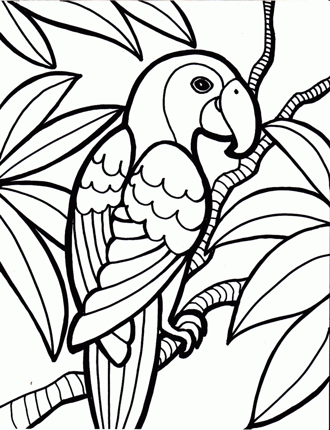 119 Dessins De Coloriage Oiseau À Imprimer Sur Laguerche à A Colorier Dessin