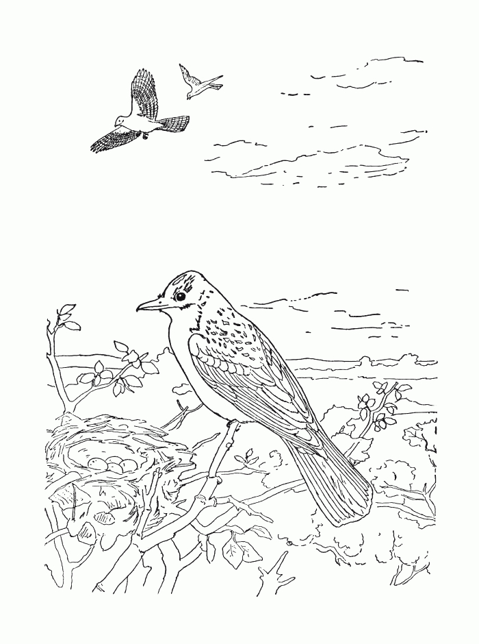 119 Dessins De Coloriage Oiseau À Imprimer Sur Laguerche à Coloriage Oiseau