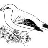 119 Dessins De Coloriage Oiseau À Imprimer Sur Laguerche destiné Coloriage Oiseau