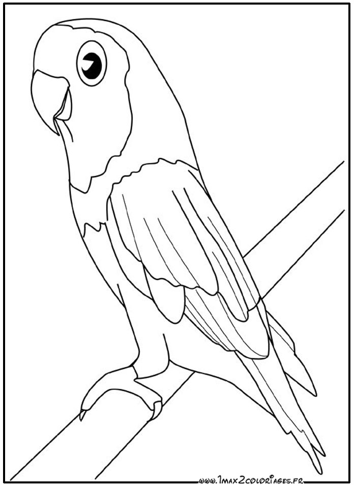 119 Dessins De Coloriage Oiseau À Imprimer Sur Laguerche serapportantà Photo De Dessin A Colorier