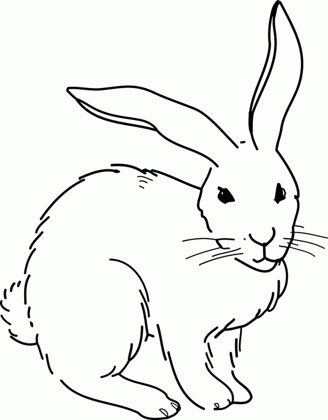 128 Dessins De Coloriage Lapin À Imprimer Sur Laguerche avec Comment Colorier Un Dessin