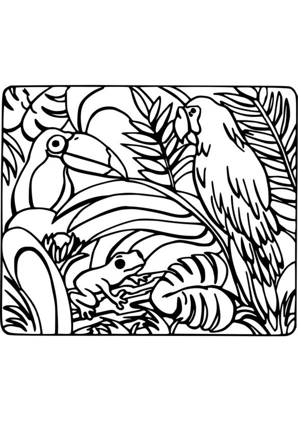 14 Meilleur De Coloriage Tropical Photographie | Coloriage encequiconcerne Coloriage Dessin Nature