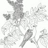 15 Coloriage Oiseaux Et Fleurs A Imprimer | 30000 avec Coloriage Oiseaux,