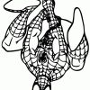 167 Dessins De Coloriage Spiderman À Imprimer Sur avec Coloriage Spider-Man,
