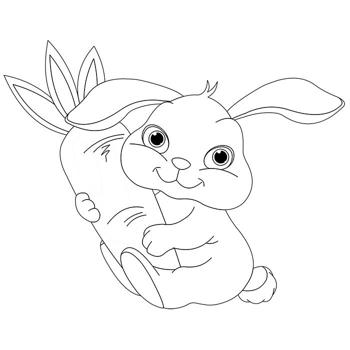 195 Best Coloriages Animaux Images On Pinterest | Coloring à Coloriage Lapin