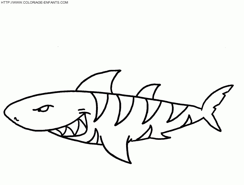 20 Dessins De Coloriage Requin Blanc À Imprimer pour Coloriage Dessin Requin