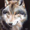 2017 | Peinture De Loup, Peintures De Chien, Dessin De Loup pour Dessin Loup