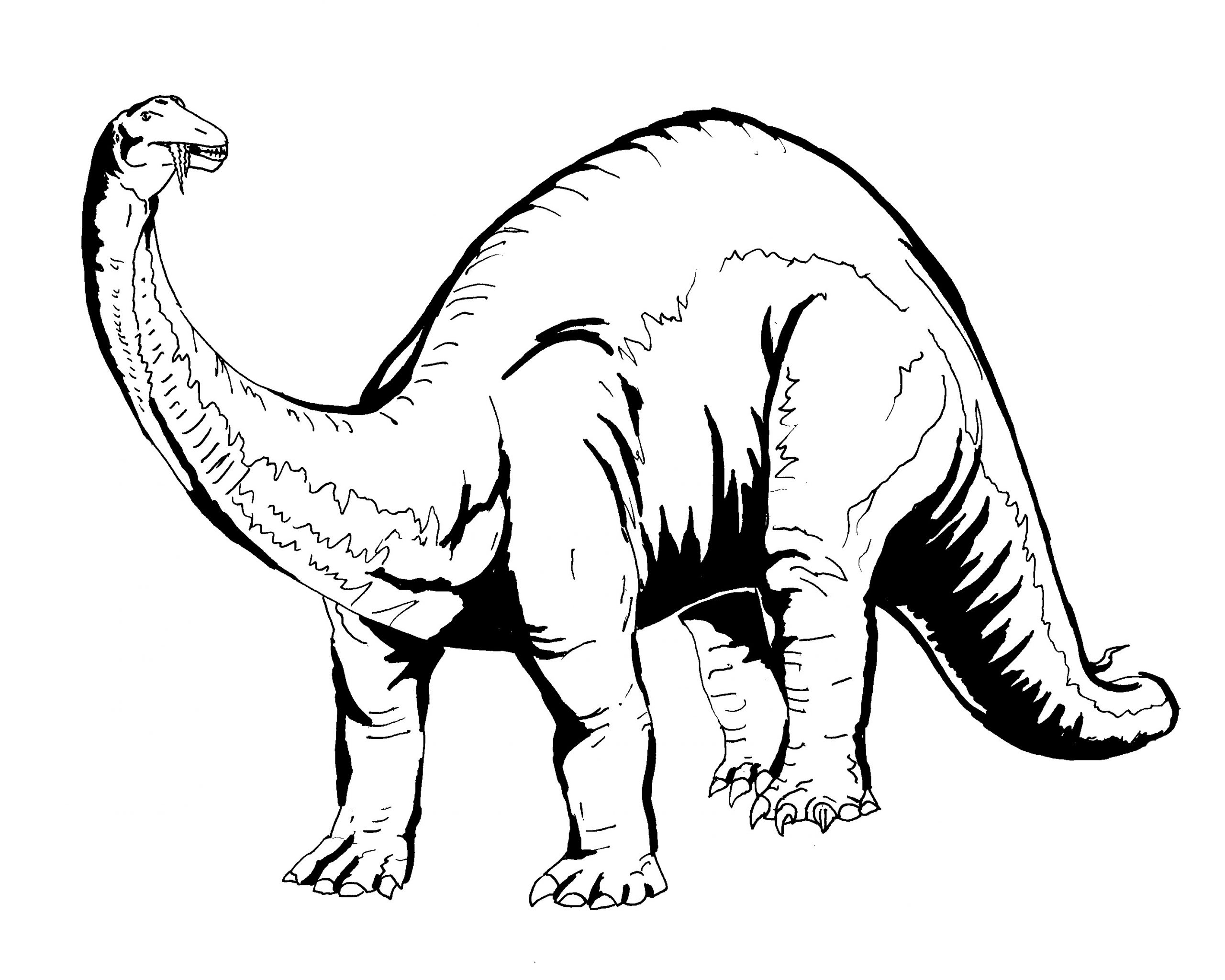 204 Dessins De Coloriage Dinosaure À Imprimer Sur encequiconcerne Coloriage Dinosaure