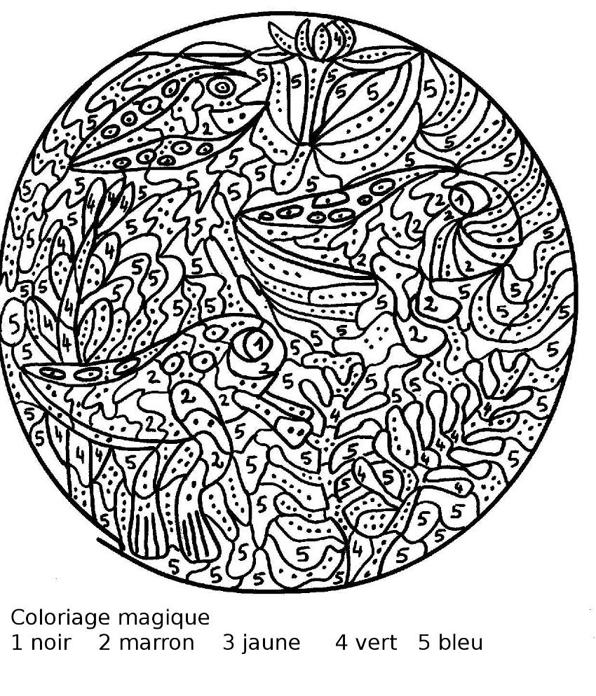 25 Dessins De Coloriage Magique Difficile À Imprimer destiné Coloriage 5Eme