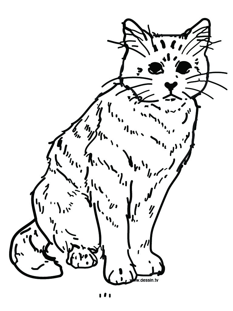 260 Dessins De Coloriage Chat À Imprimer Sur Laguerche concernant Un Coloriage De Téléphone,