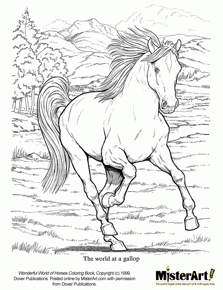 296 Dessins De Coloriage Cheval À Imprimer Sur Laguerche destiné Coloriage Cheval