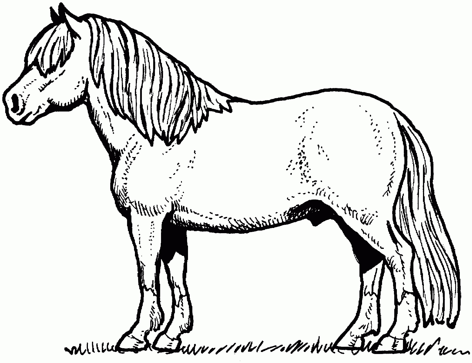 296 Dessins De Coloriage Cheval À Imprimer Sur Laguerche encequiconcerne Coloriage Cheval,