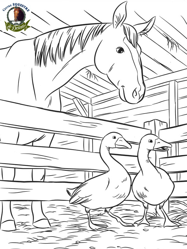 296 Dessins De Coloriage Cheval À Imprimer Sur Laguerche encequiconcerne Dessin R A Imprimer