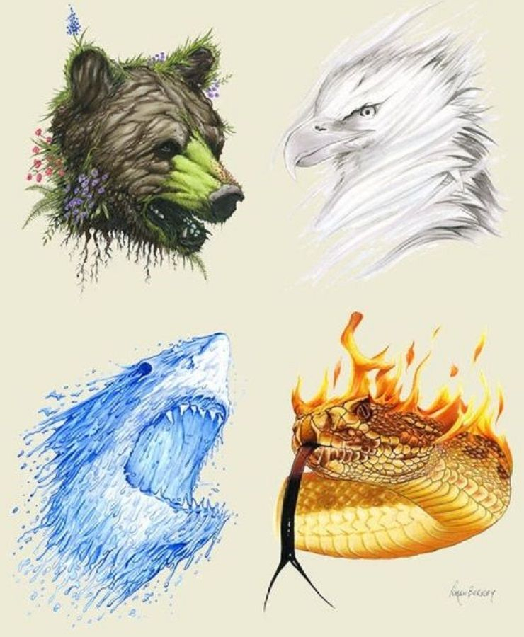 4 Elements (Animals) | Tierzeichnung, Kunst Elemente à Dessin 4 Elements