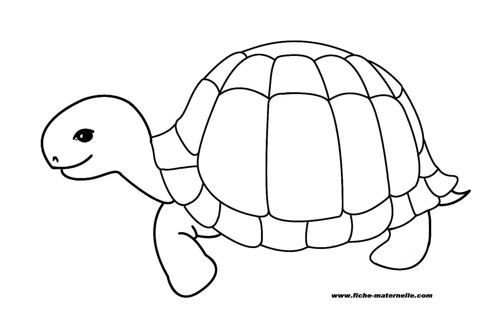 69 Dessins De Coloriage Tortue À Imprimer Sur Laguerche concernant Photo De Dessin A Colorier