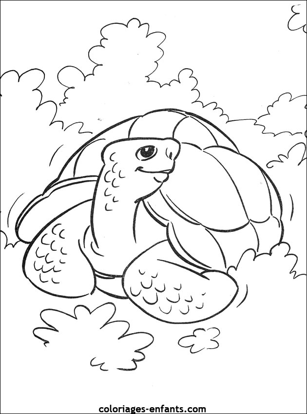 69 Dessins De Coloriage Tortue À Imprimer Sur Laguerche serapportantà Coloriage Tortue,