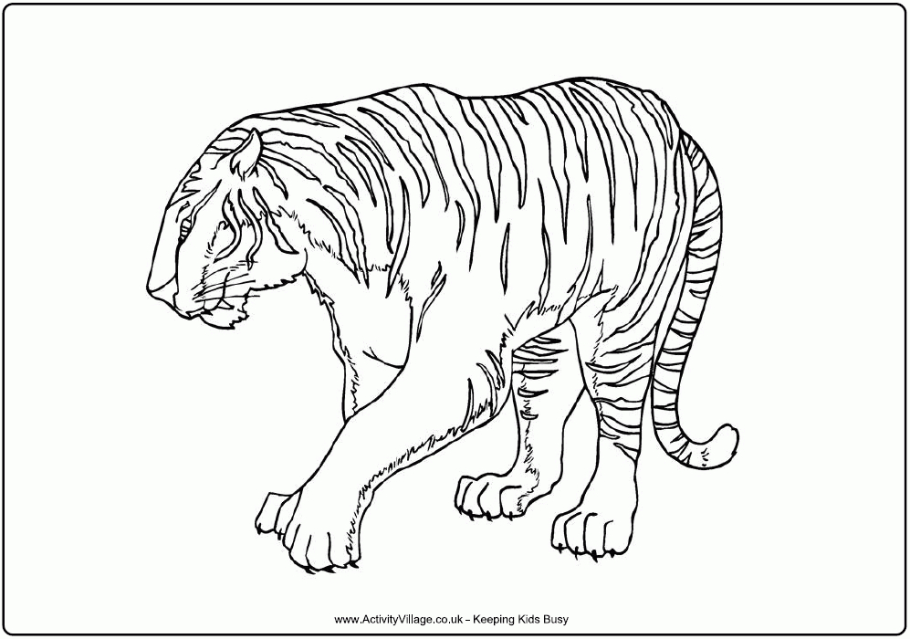 72 Dessins De Coloriage Tigre À Imprimer Sur Laguerche à Coloriage Tigre,