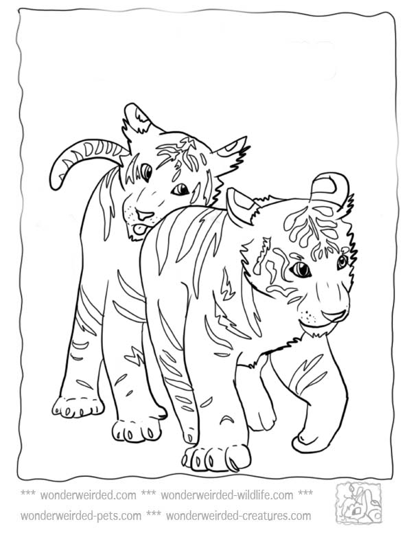 72 Dessins De Coloriage Tigre À Imprimer Sur Laguerche intérieur Coloriage Tigre