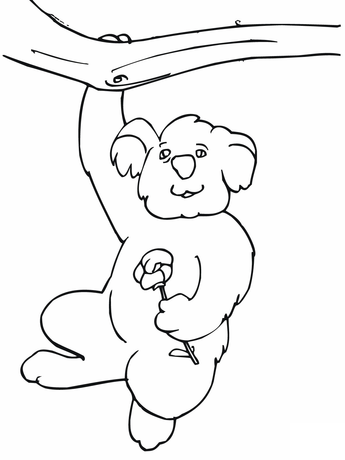 77 Dessins De Coloriage Koala À Imprimer Sur Laguerche avec Coloriage Koala