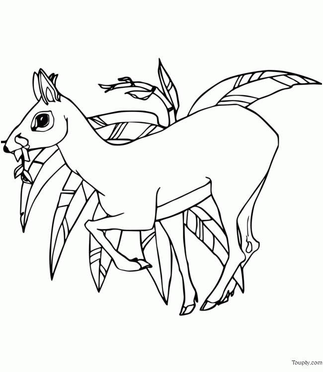 8 Joyeux Coloriage Biche Pics - Coloriage intérieur Coloriage Dessin De Biche