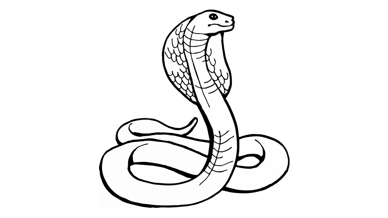 8 Nouveau De Serpent Dessin Facile Photos | Dessins à Coloriage Dessin Serpent