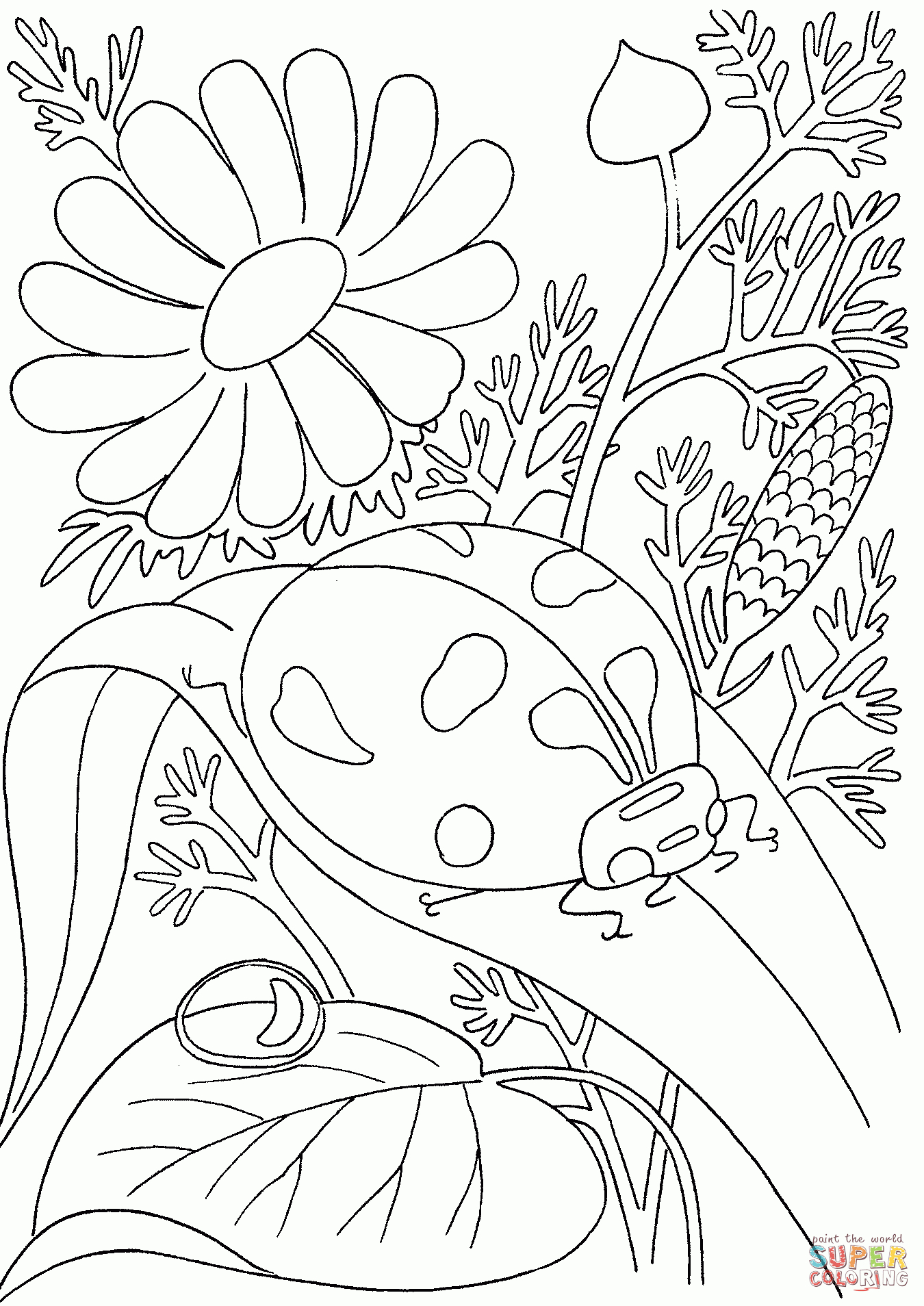 97 Dessins De Coloriage La Fourmi Et La Cigale À Imprimer intérieur Coloriage Dessin Cigale