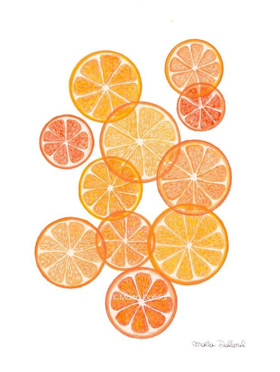 Agrumes Dessin | Orange Wall Art, Orange Art, Fruit Art destiné Dessin Orange