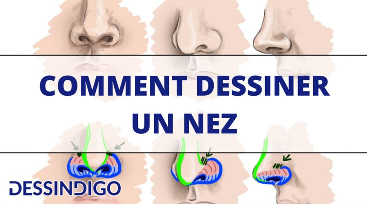 Apprendre À Dessiner Avec Dessindigo | Dessin Nez, Nez avec Dessin Nez