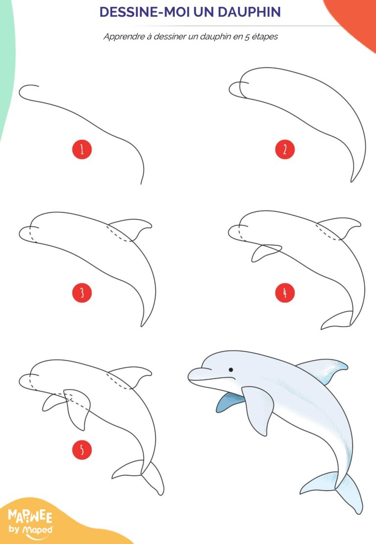 Apprendre À Dessiner Des Animaux Marins En 5 Étapes encequiconcerne A Dessiner Animaux