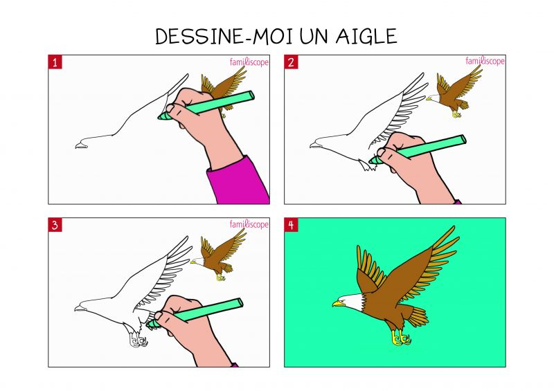 Apprendre À Dessiner Un Aigle En 3 Étapes serapportantà Apprendre 0 Dessiner,