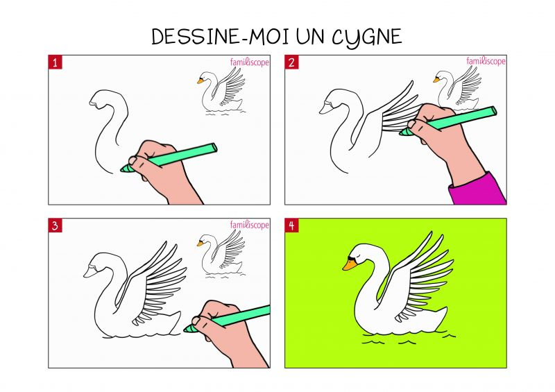 Apprendre À Dessiner Un Cygne En 3 Étapes intérieur Apprendre 0 Dessiner,